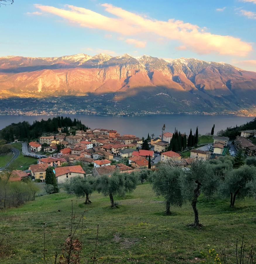 La Quiete 08 Lake View Apartment By Garda Domus Mea Tremosine Bagian luar foto